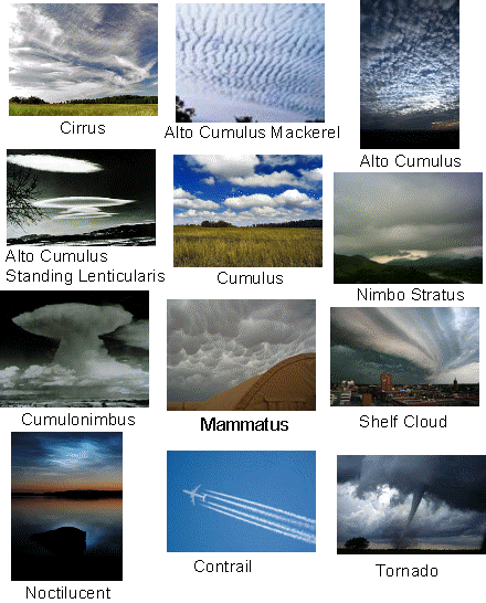 types of clouds ringer