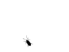 Creepy Crawly Creepy Crawly