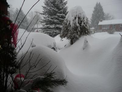 pictures of winter wonderland. Winter wonderland in Stayner