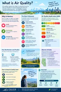 Understanding Air Quality and Its Health Impacts