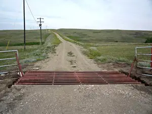 Canadian Prairie Biome