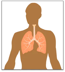 How are we affected?