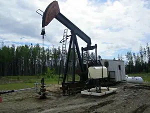 Environment and fuel