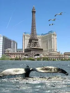 WHALES IN PARIS coming soon........