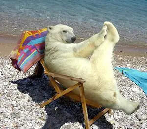 Pass the lotion, please.