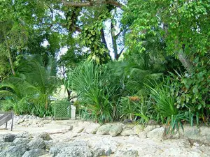 We could all use an environment like this