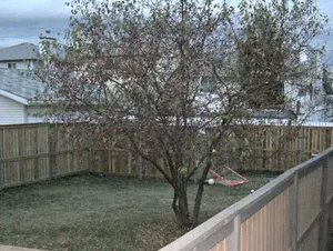 Prime property to use for this one.