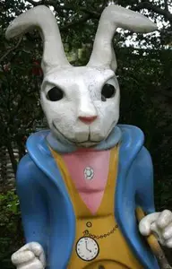 Not your average weather forecaster.