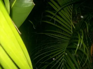 OUR beautiful planet