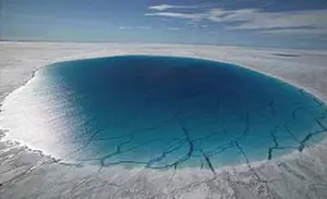 World Environment Day, 2007