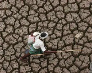 The effects of drought in India