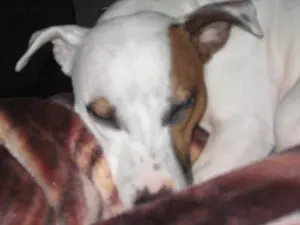 What's good for them is good for us