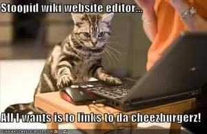 Kitty's point of view