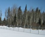 Steady Even Snow Cover