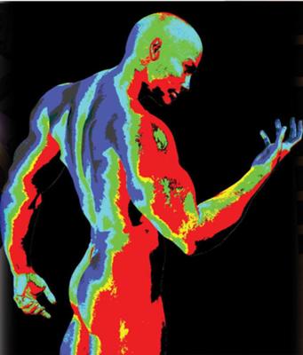 The internal furnace