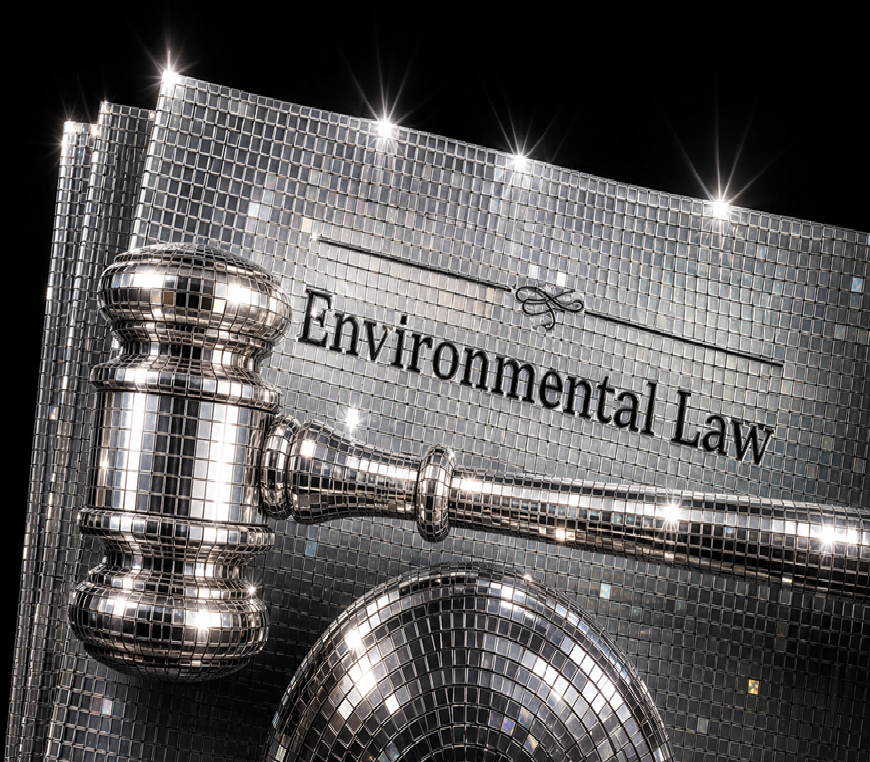 Rules look strong, but weak enforcement and high emissions undermine real environmental performance and consistency.
