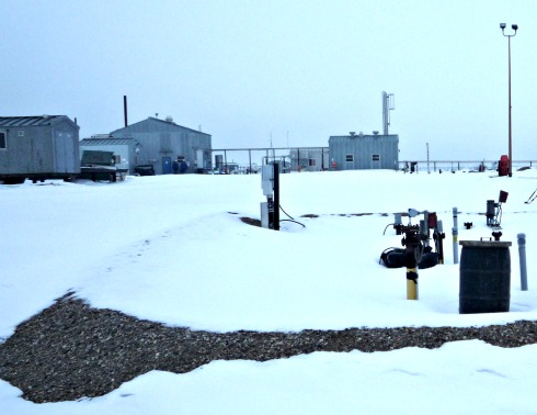 Snow out in the Field