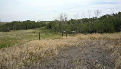 Energy and Environment