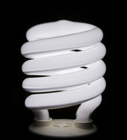Energy Saving Fluorescent Bulb