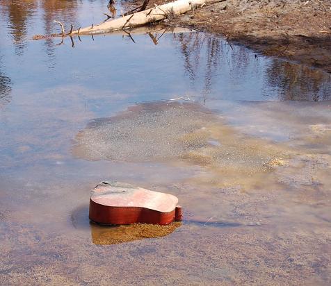 Delta Blues - Disposed Guitar in Water
