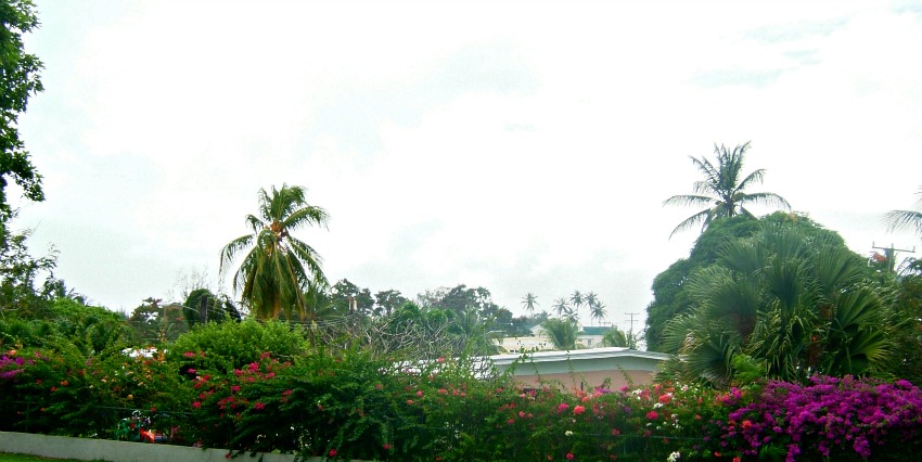 Rainforest Village - Holetown Barbados