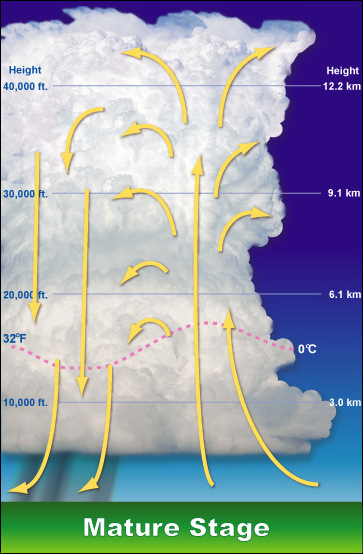 Mature Thunderstorm