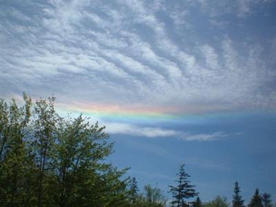  A  HAPPY  SKY