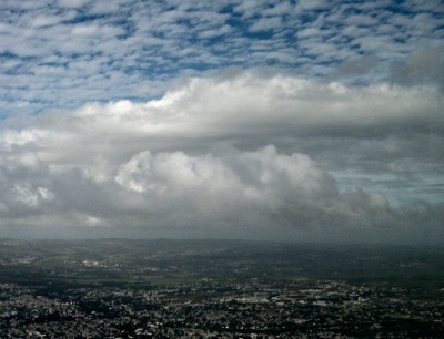 Effects of environmental change