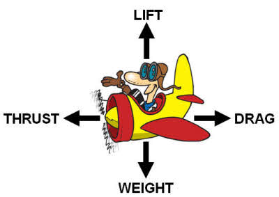 A short flight for short people