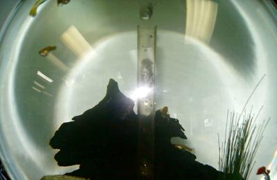 Clean water in this example