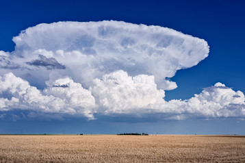 Thunderstorm with Anvil Cloud