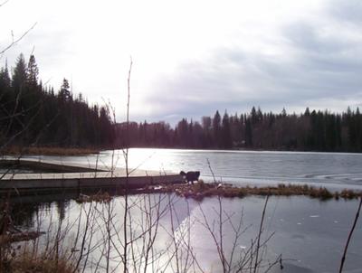 Shane Lake, Prince George, BC