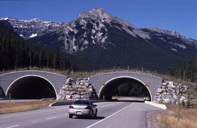 Banff National Park