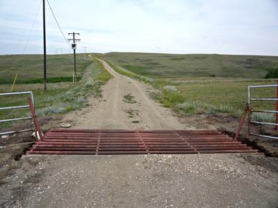 Canadian Prairie Biome