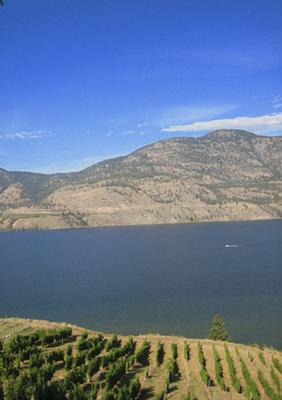 Sunny Okanagan Valley in British Columbia