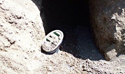 You never know what you'll find