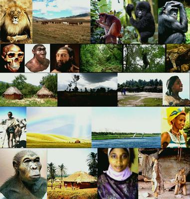 The Human Journey across Time and Climate