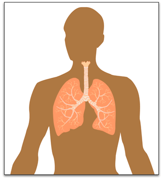 How are we affected?