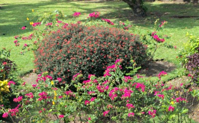 Take time to stop & smell the flowers...