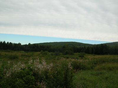 Here! Gaspe at this.