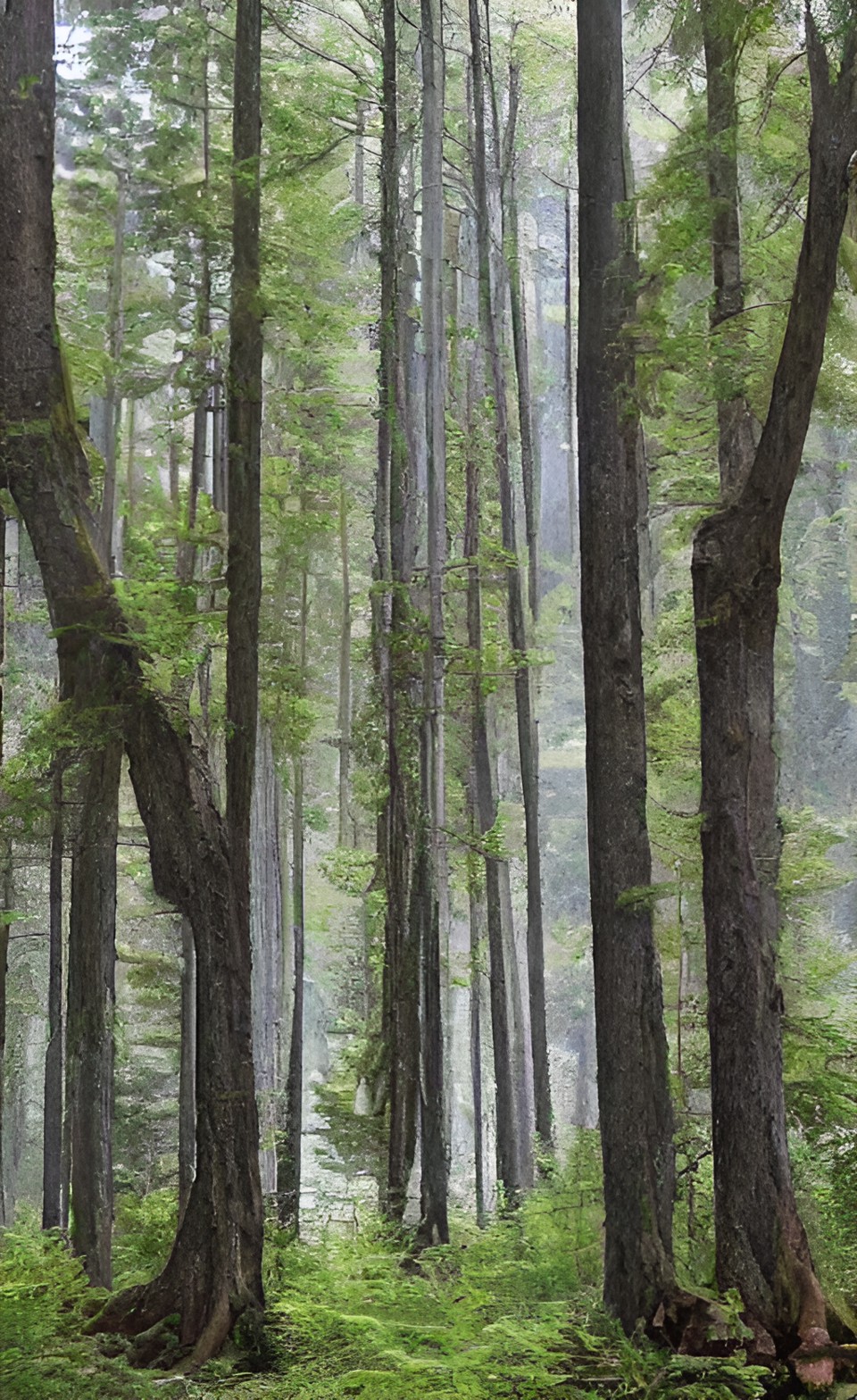 Alberta's commitment to environmental preservation