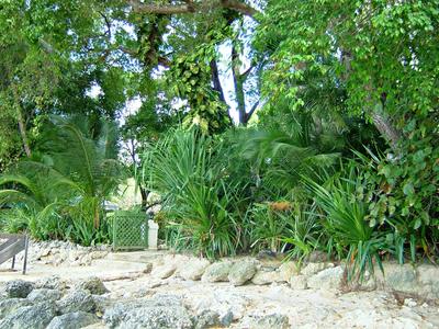 We could all use an environment like this