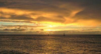 How important is a clean environment like this one?