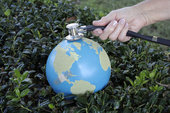 Global Healing Pic