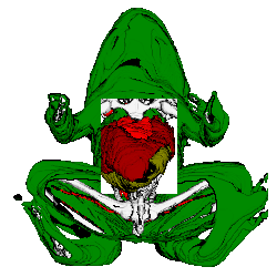 Frog Sketch