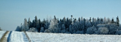 Bus Ride in the Country Side