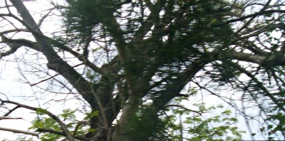 Another one bites the dust