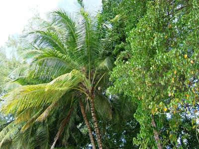 Our world is Important