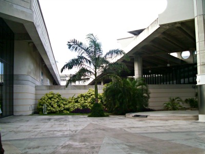 They're cropping up everywhere