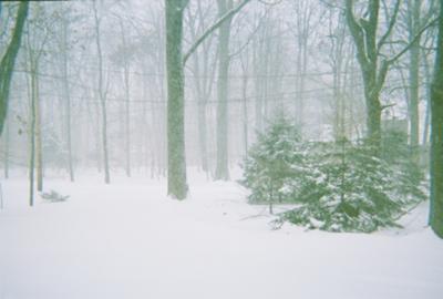 Rural snow